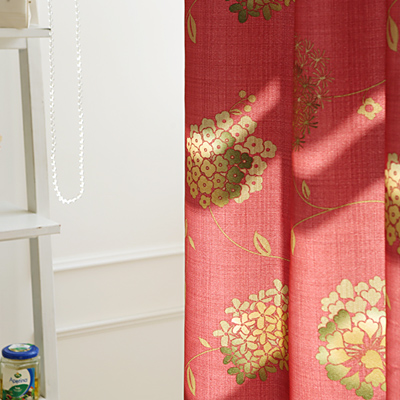 ��ǰ�̹���